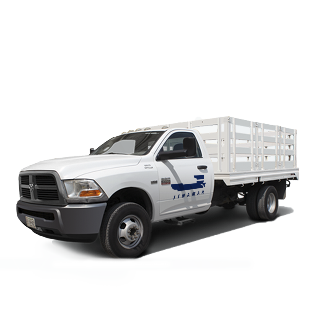 RAM Pickup Truck
